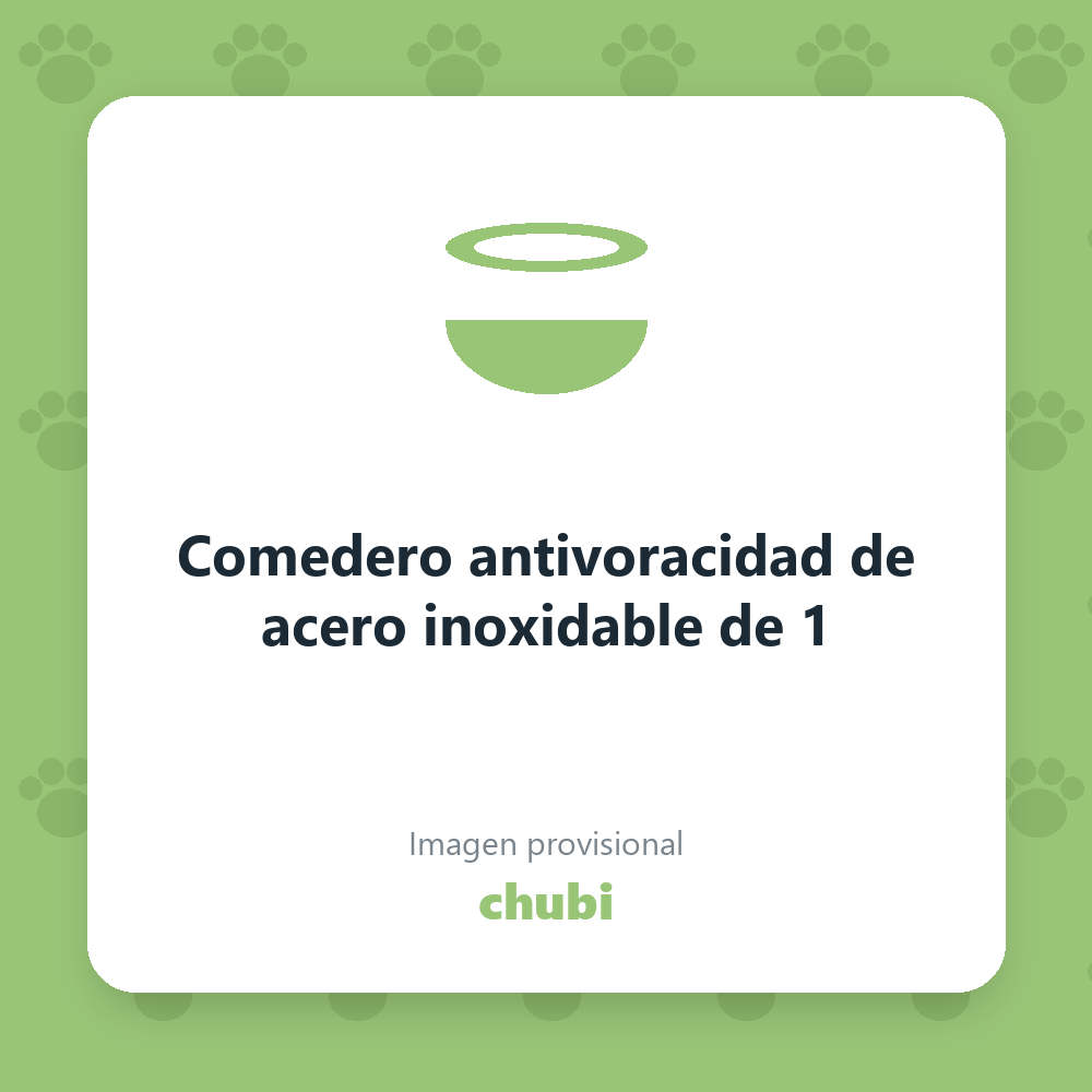 Comedero antivoracidad de acero inoxidable de 1
