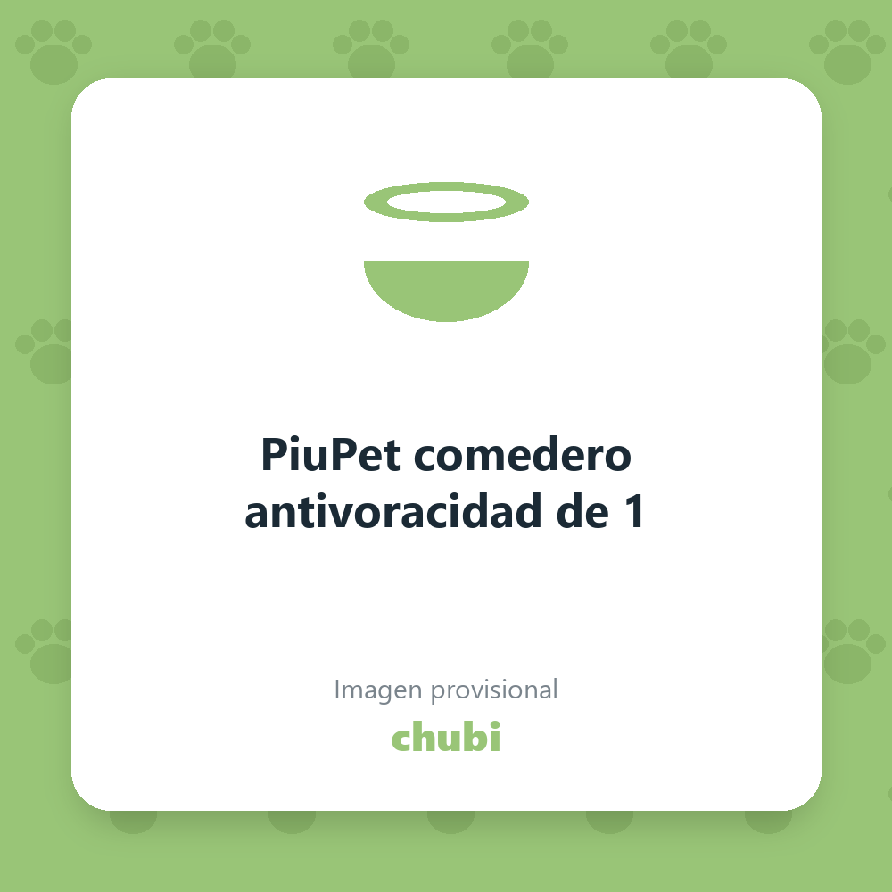 PiuPet comedero antivoracidad de 1