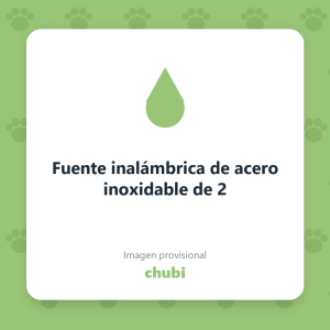 Fuente inalámbrica de acero inoxidable de 2