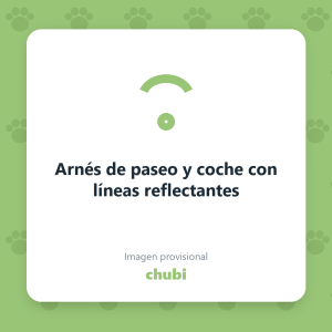 Arnés de paseo y coche con líneas reflectantes