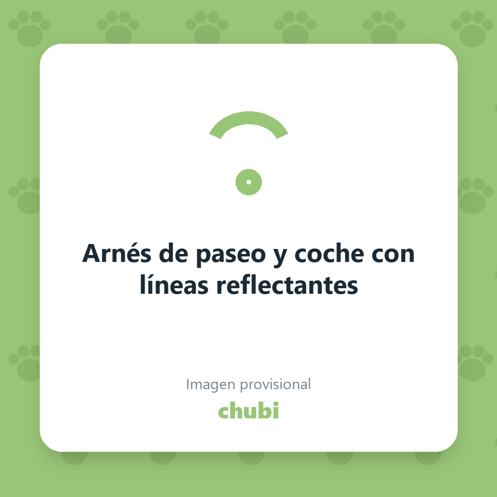Arnés de paseo y coche con líneas reflectantes